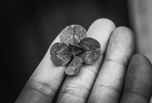 mẹo thắng F8bet